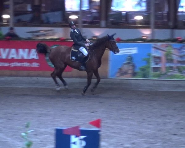 Reitturnier Hamburg-Friedrichshulde 2017