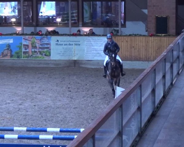 Reitturnier Hamburg-Friedrichshulde 2017