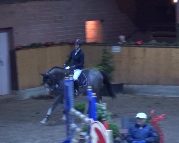 Reitturnier Hamburg-Friedrichshulde 2017
