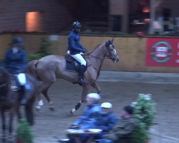 Reitturnier Hamburg-Friedrichshulde 2017