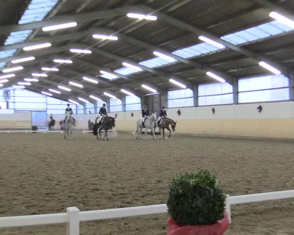 Reitturnier Datteln 2017
