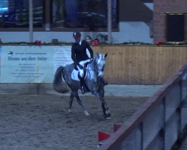 Reitturnier Hamburg-Friedrichshulde 2017