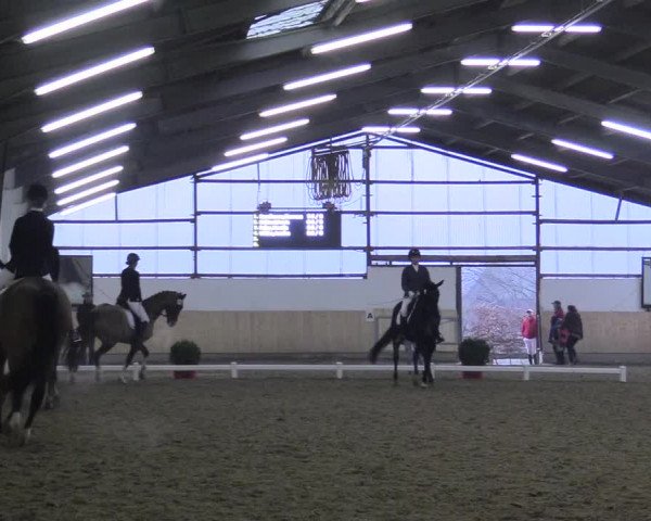 Reitturnier Datteln 2017