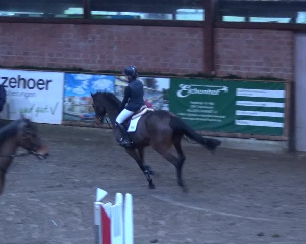 Reitturnier Hamburg-Friedrichshulde 2017