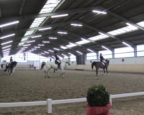 Reitturnier Datteln 2017