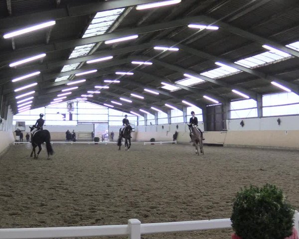 Reitturnier Datteln 2017