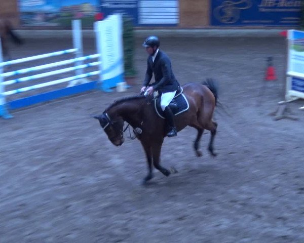 Reitturnier Hamburg-Friedrichshulde 2017