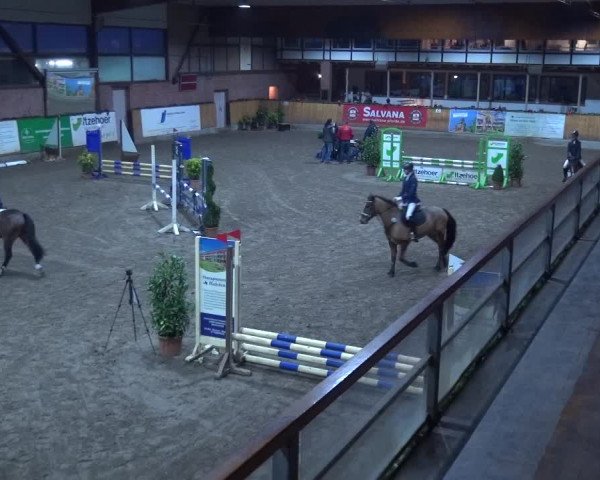 Reitturnier Hamburg-Friedrichshulde 2017
