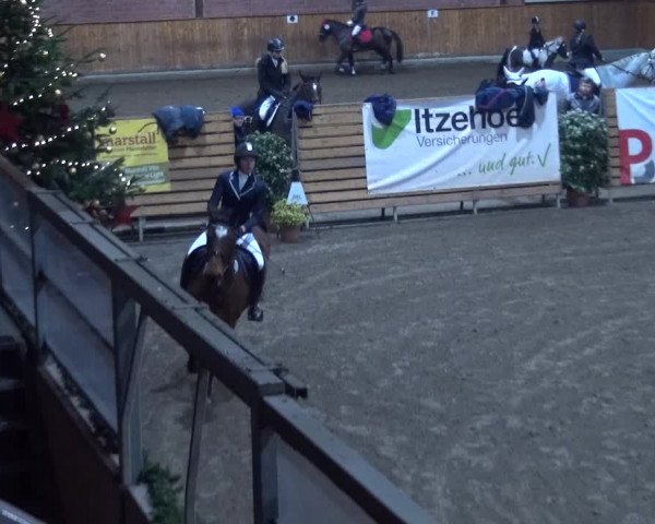Reitturnier Hamburg-Friedrichshulde 2017