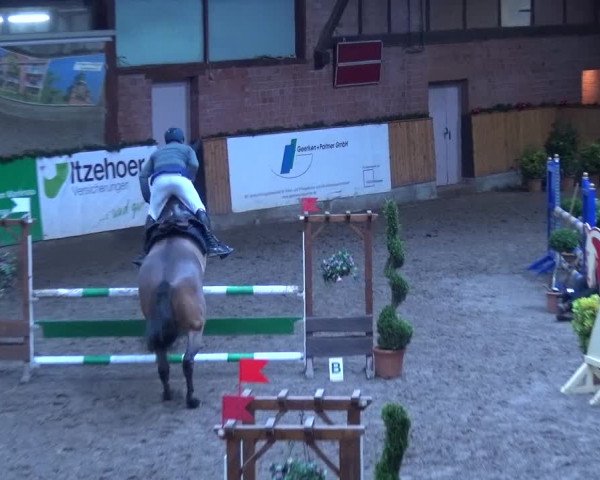 Reitturnier Hamburg-Friedrichshulde 2017