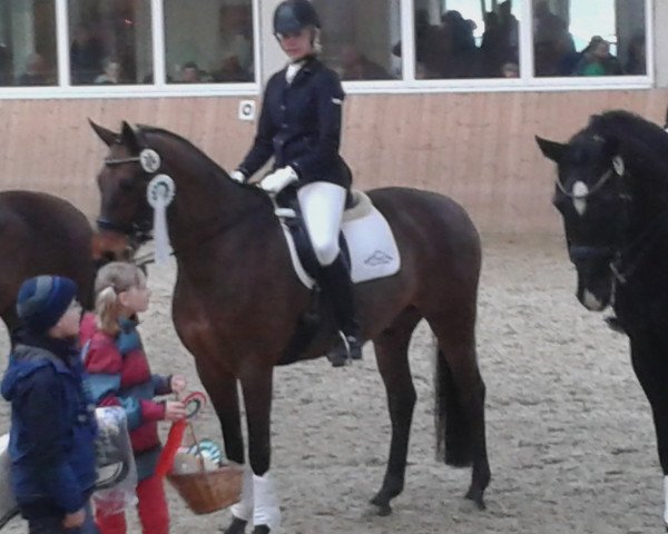 dressage horse Royal Diamond M (Westphalian, 2004, from Rockwell)