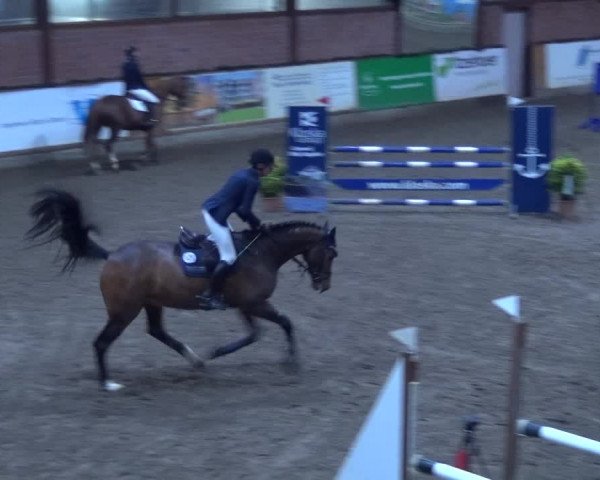 Reitturnier Hamburg-Friedrichshulde 2017