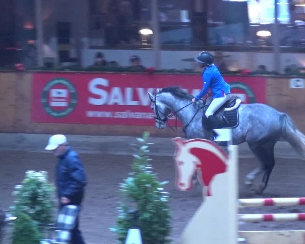 Reitturnier Hamburg-Friedrichshulde 2017