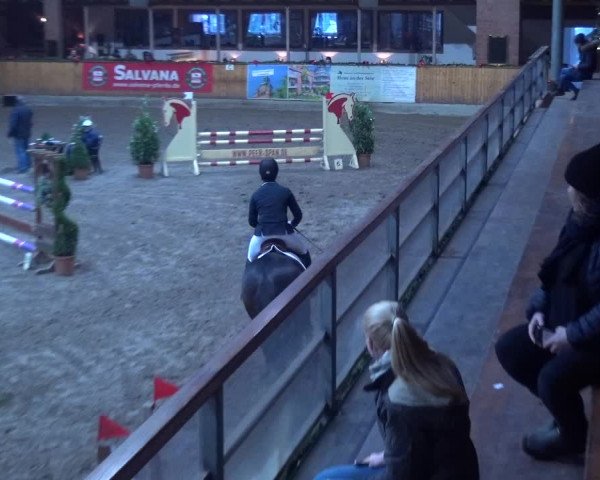 Reitturnier Hamburg-Friedrichshulde 2017