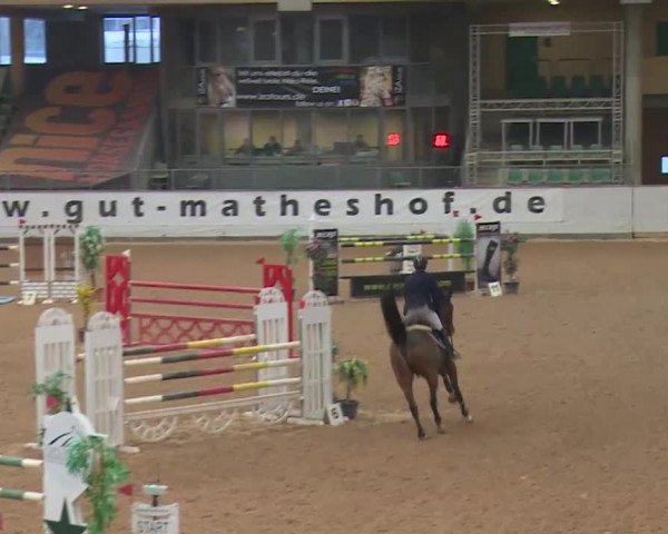 Reitturnier Kreuth 2017