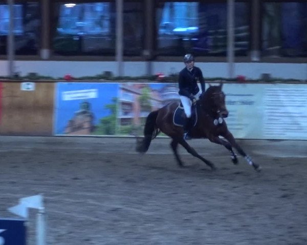 Reitturnier Hamburg-Friedrichshulde 2017