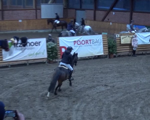 Reitturnier Hamburg-Friedrichshulde 2017