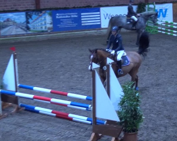 Reitturnier Hamburg-Friedrichshulde 2017