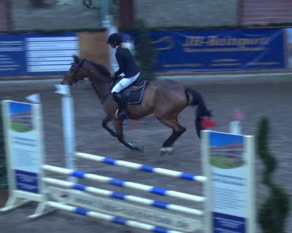 Reitturnier Hamburg-Friedrichshulde 2017