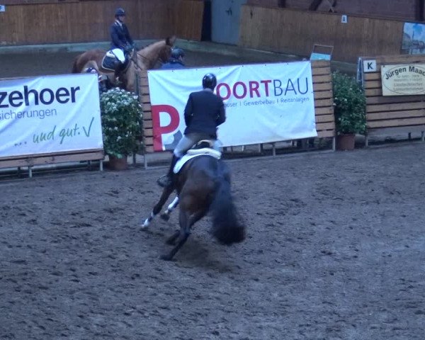 Reitturnier Hamburg-Friedrichshulde 2017