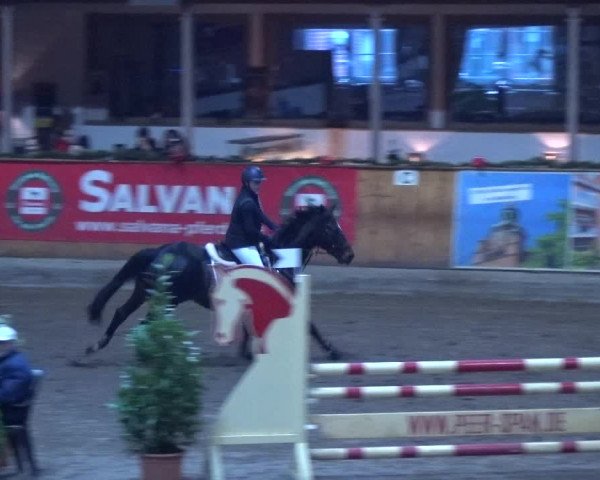 Reitturnier Hamburg-Friedrichshulde 2017