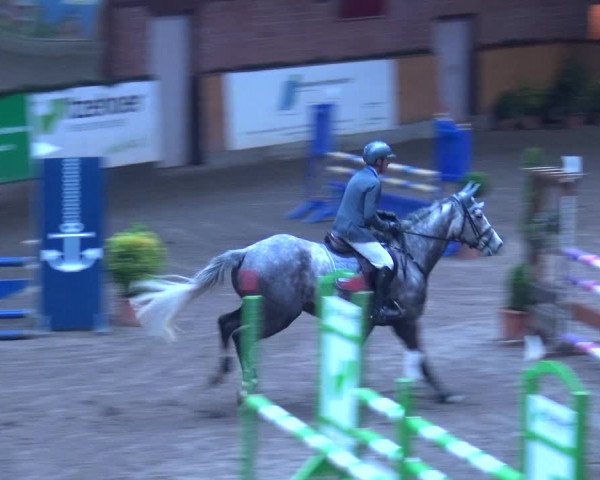 Reitturnier Hamburg-Friedrichshulde 2017