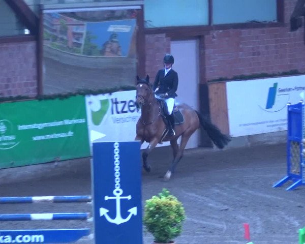 Reitturnier Hamburg-Friedrichshulde 2017