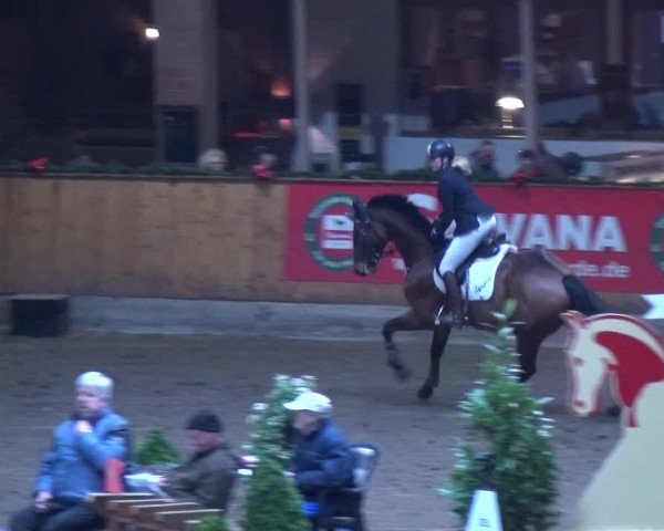 Reitturnier Hamburg-Friedrichshulde 2017