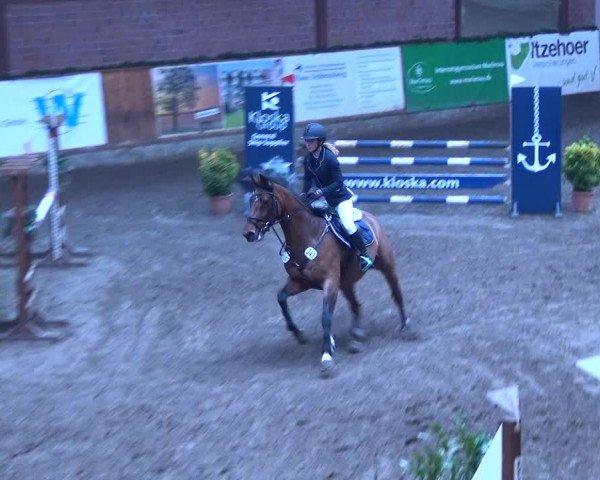 Reitturnier Hamburg-Friedrichshulde 2017
