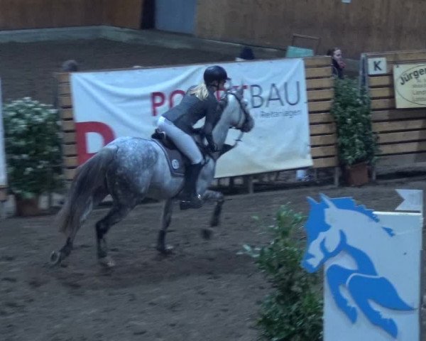 Reitturnier Hamburg-Friedrichshulde 2017