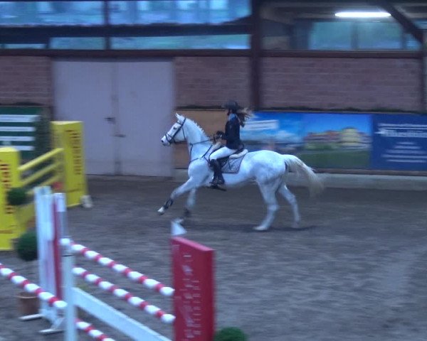 Reitturnier Hamburg-Friedrichshulde 2017