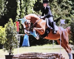 broodmare Ribana 170 (German Riding Pony, 2003, from Brillant)