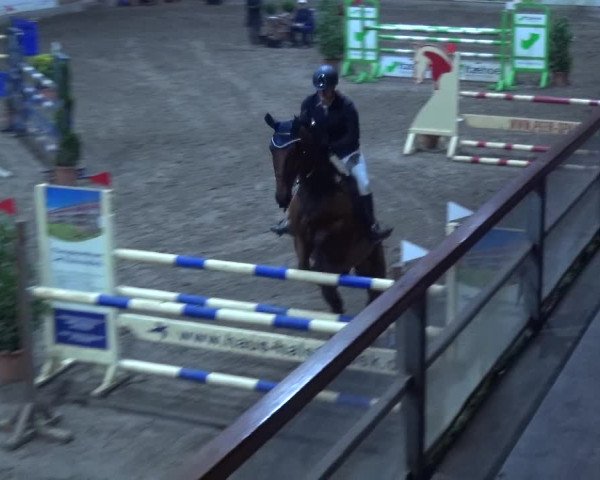 Reitturnier Hamburg-Friedrichshulde 2017