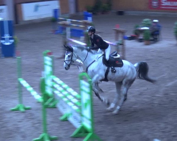 Reitturnier Hamburg-Friedrichshulde 2017
