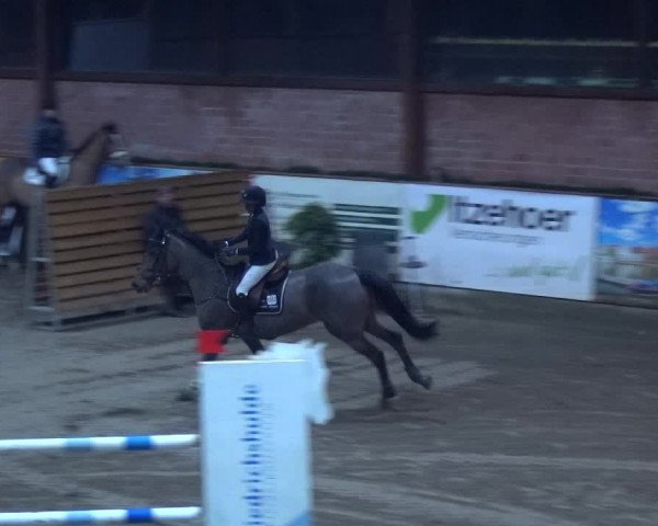 Reitturnier Hamburg-Friedrichshulde 2017