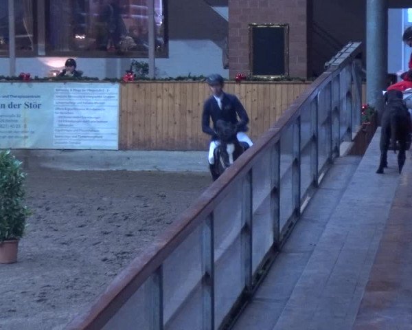 Reitturnier Hamburg-Friedrichshulde 2017