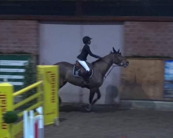 Reitturnier Hamburg-Friedrichshulde 2017