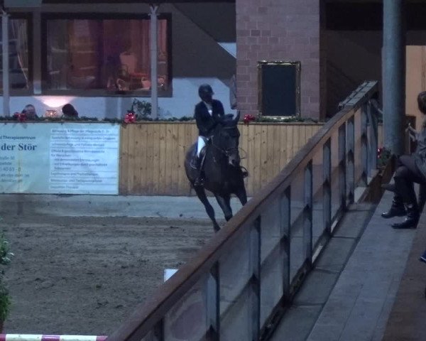 Reitturnier Hamburg-Friedrichshulde 2017