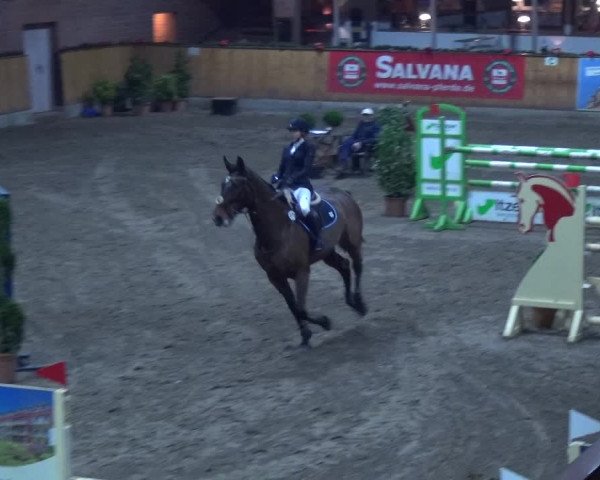 Reitturnier Hamburg-Friedrichshulde 2017