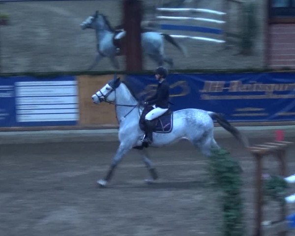 Reitturnier Hamburg-Friedrichshulde 2017