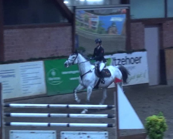 Reitturnier Hamburg-Friedrichshulde 2017
