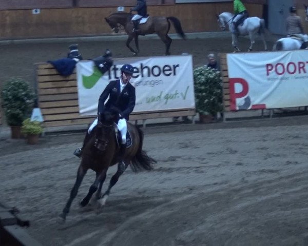 Reitturnier Hamburg-Friedrichshulde 2017