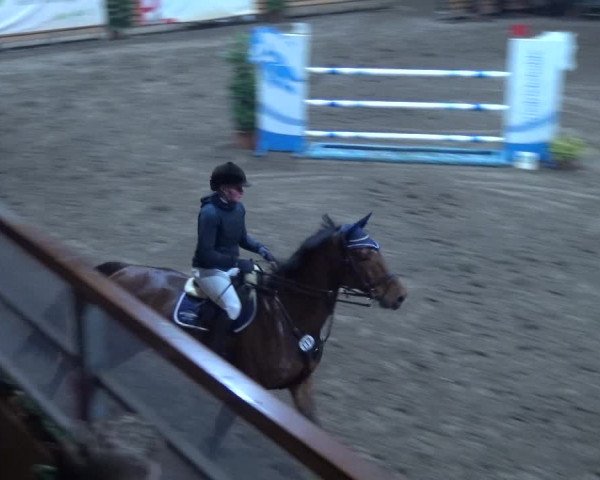 Reitturnier Hamburg-Friedrichshulde 2017