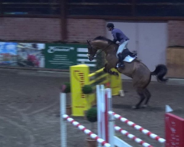 Reitturnier Hamburg-Friedrichshulde 2017