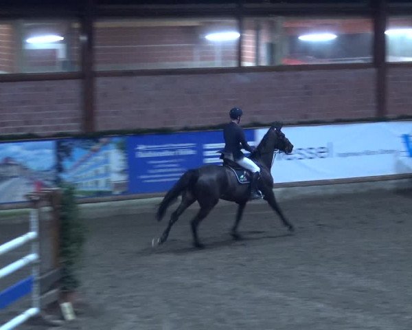 Reitturnier Hamburg-Friedrichshulde 2017
