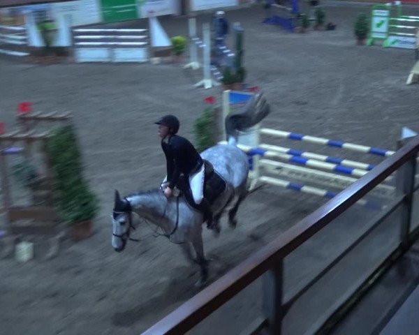 Reitturnier Hamburg-Friedrichshulde 2017
