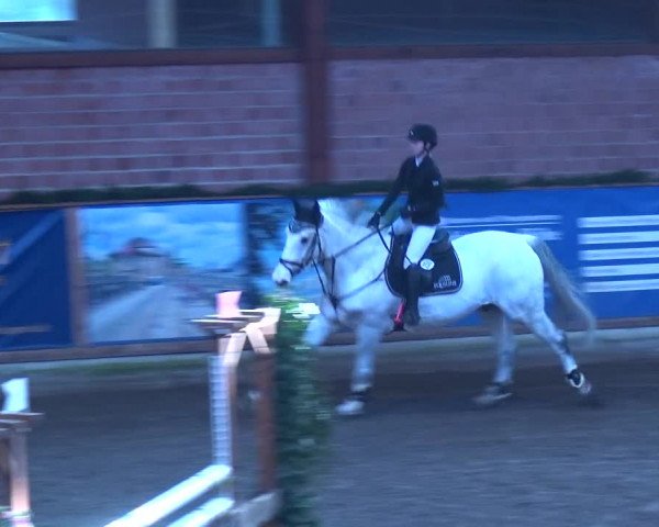 Reitturnier Hamburg-Friedrichshulde 2017