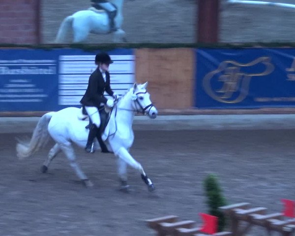 Reitturnier Hamburg-Friedrichshulde 2017