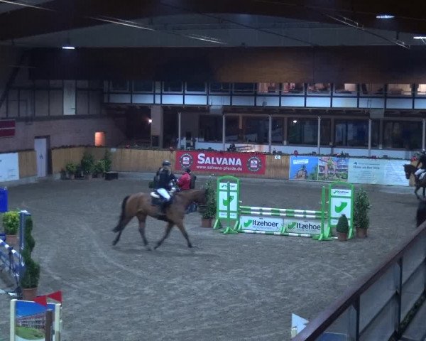 Reitturnier Hamburg-Friedrichshulde 2017