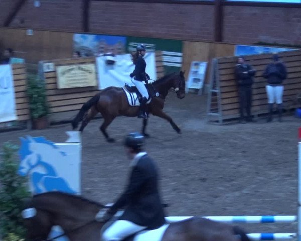 Reitturnier Hamburg-Friedrichshulde 2017